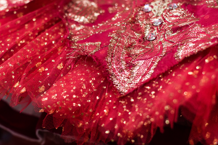 Hand-sewn jewels make the costumes sparkle