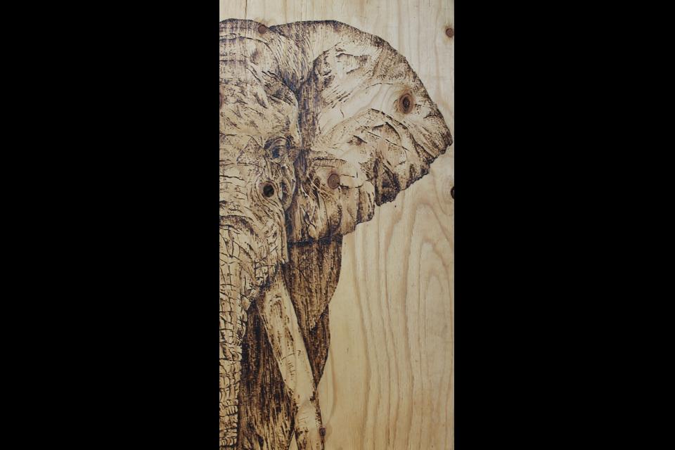 "Wooden Ivory" by Laura Scheving