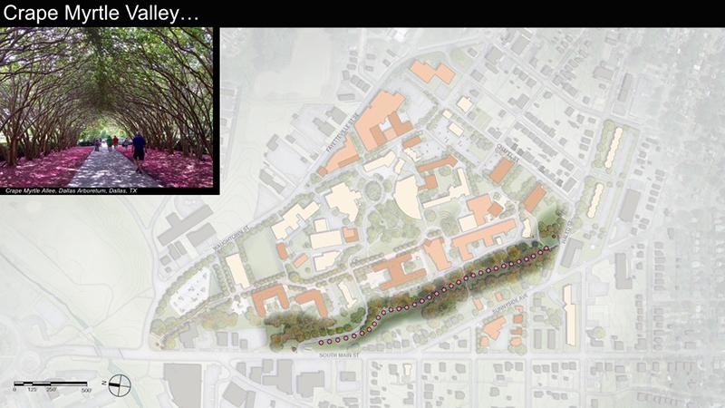 A second spine, known as Kudzu Valley, is transformed through simple interventions and landscaping to become an integral component of the city’s Strollway system. 