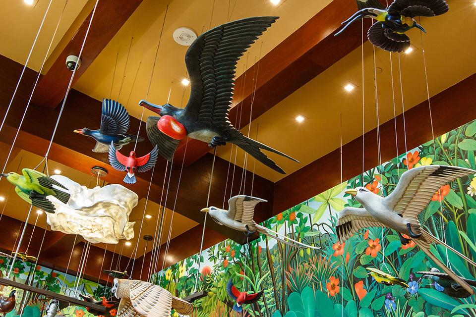 At Aulani, a Disney Resort & Spa in Hawaii, Gearhart collaborated on the Hale Manu boutique where guests can purchase 'distinctive gifts with an island flair.' / Photo: Disney  