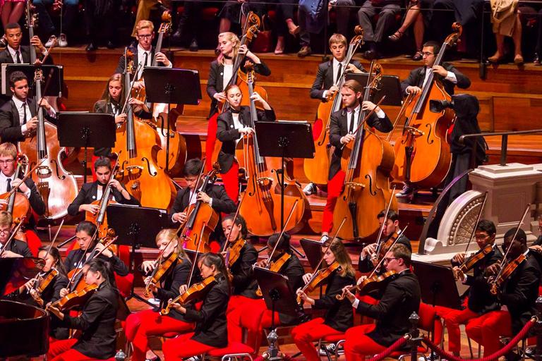 Ella Sharpe, top row, plays Rachmanioff on the double bass at the Concertgebouw in Amsterdam, Holland. Photo: Chris Lee