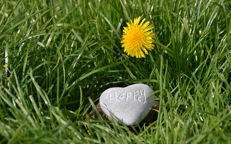 Guidance Resources: International Day of Happiness - UNCSA