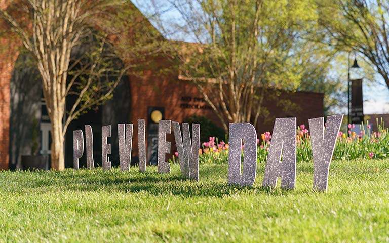 Silver letters spelling "Preview Day" on a lawn