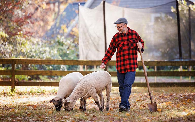 A man in a flannel walks two sheet