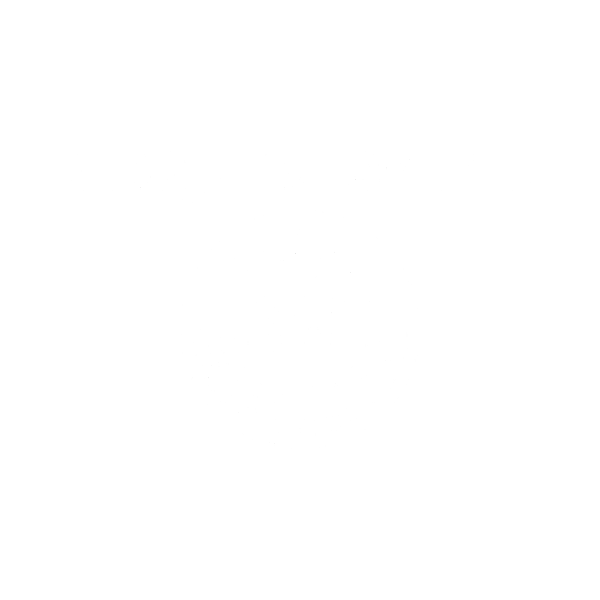  Cirque du Soleil