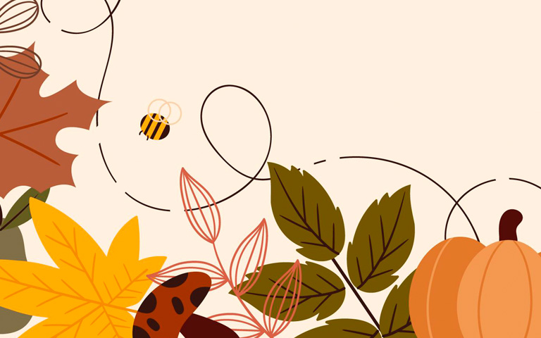 Illustration of fall leaves and pumpkins
