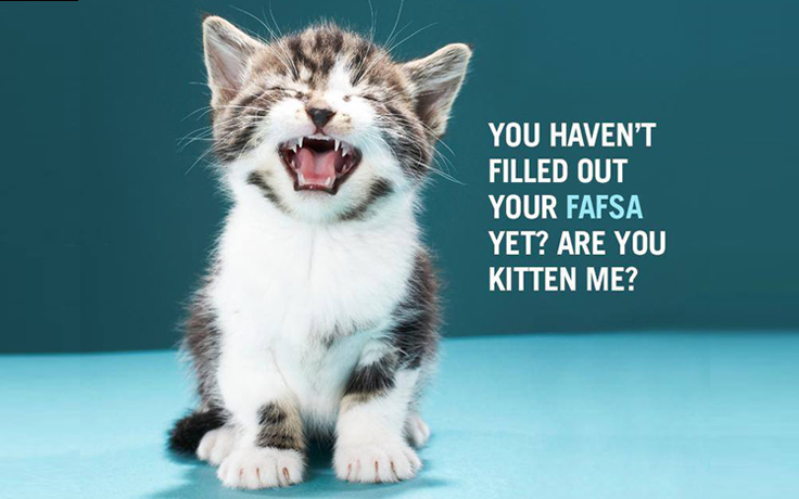 Kitten saying "Are you kitten me? You haven't filled out your FAFSA