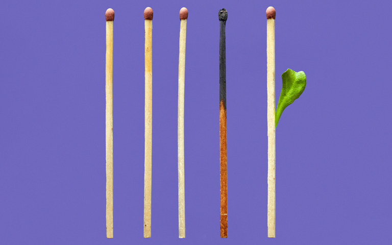 Row of matchsticks, one is burnt and the next one has a green leaf on it.