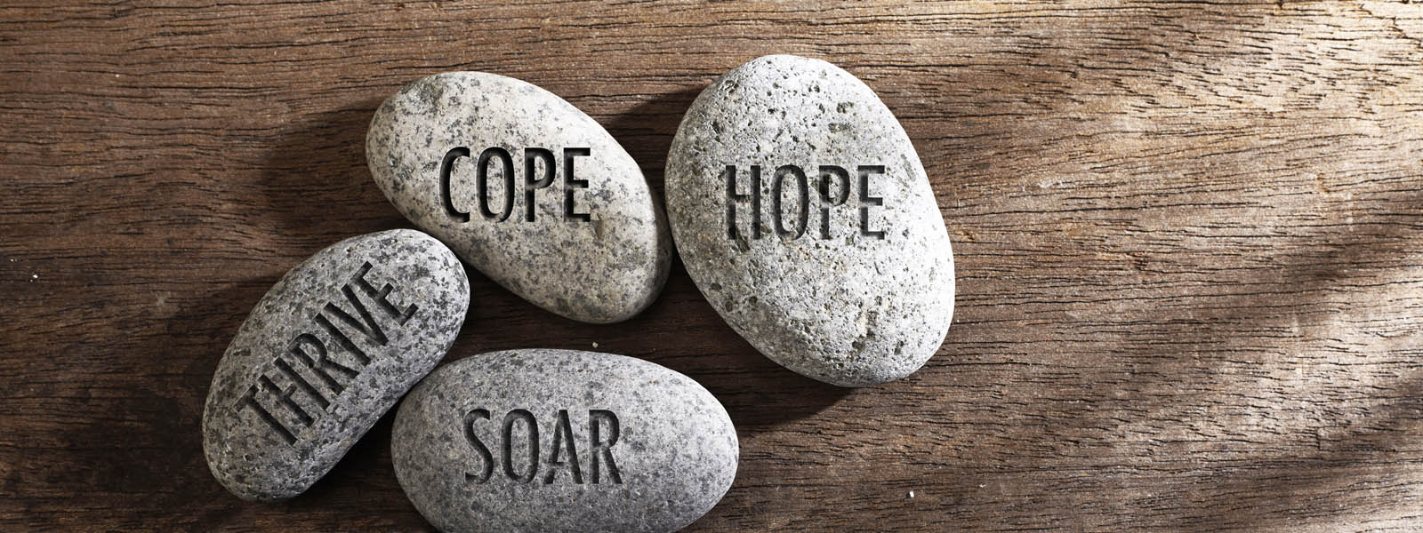 Rocks with encouraging words written on them