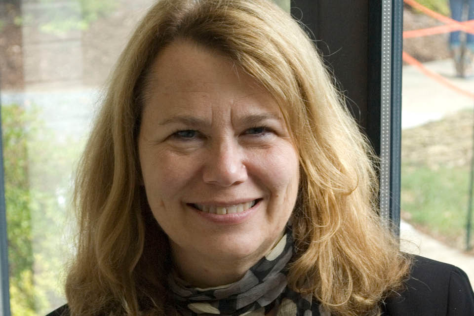 Karin Peterson will be interim provost at UNCSA