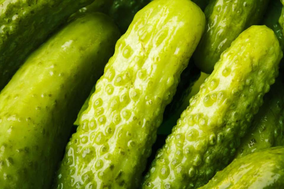 Pickle Quiz