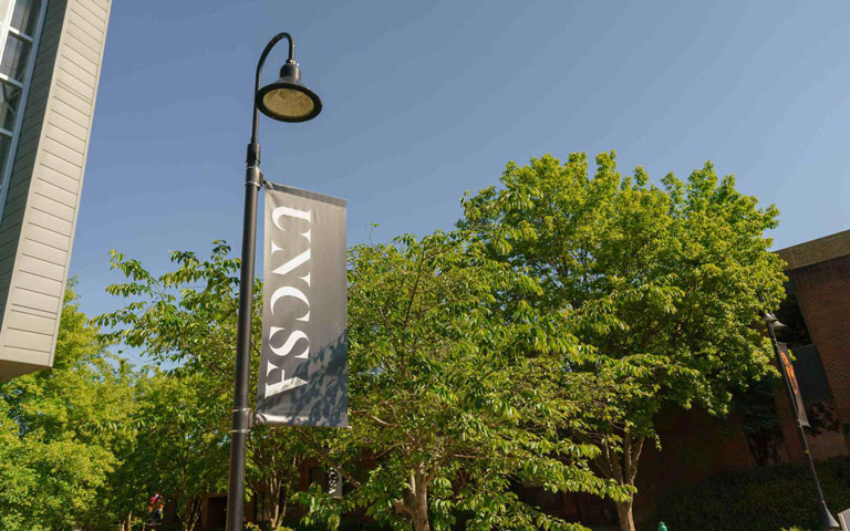 UNCSA flag UNCSA flag