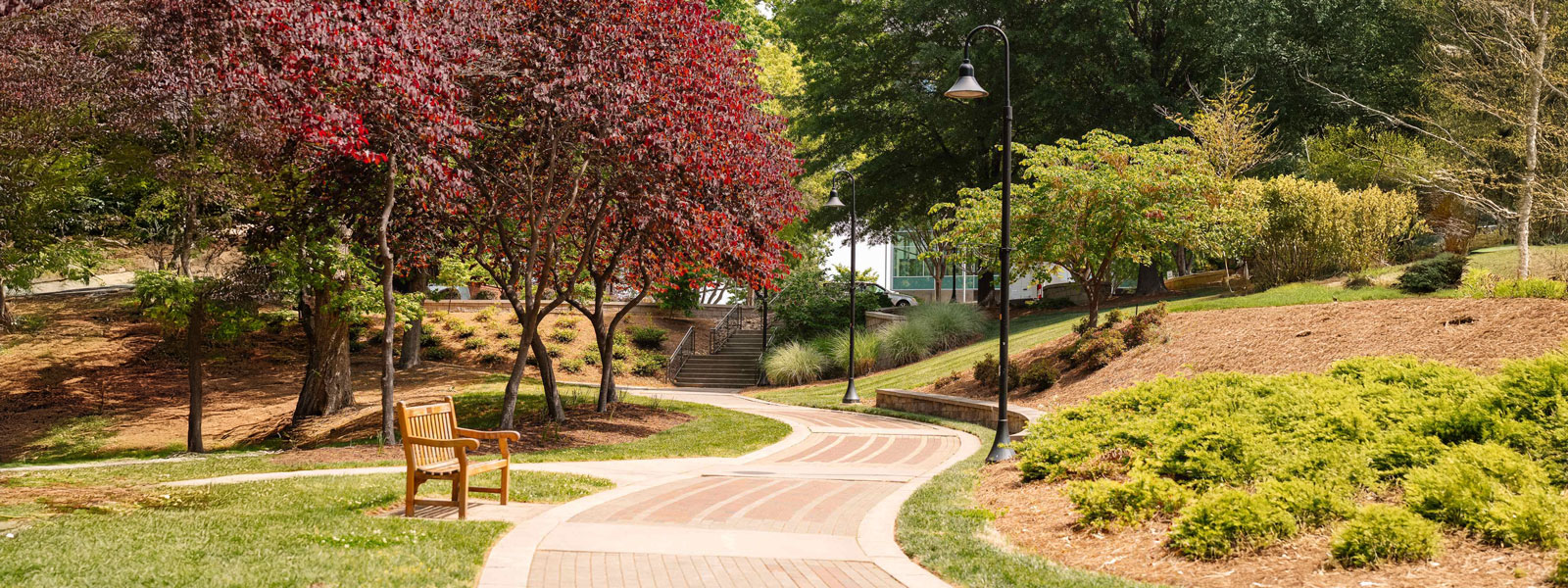 A wooden bench positioned along a scenic path surrounded by greenery.