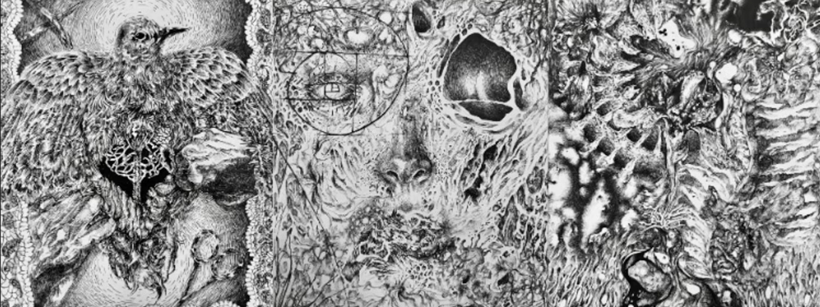 A black and white drawing depicting a bird perched beside a man, showcasing a serene interaction between them.