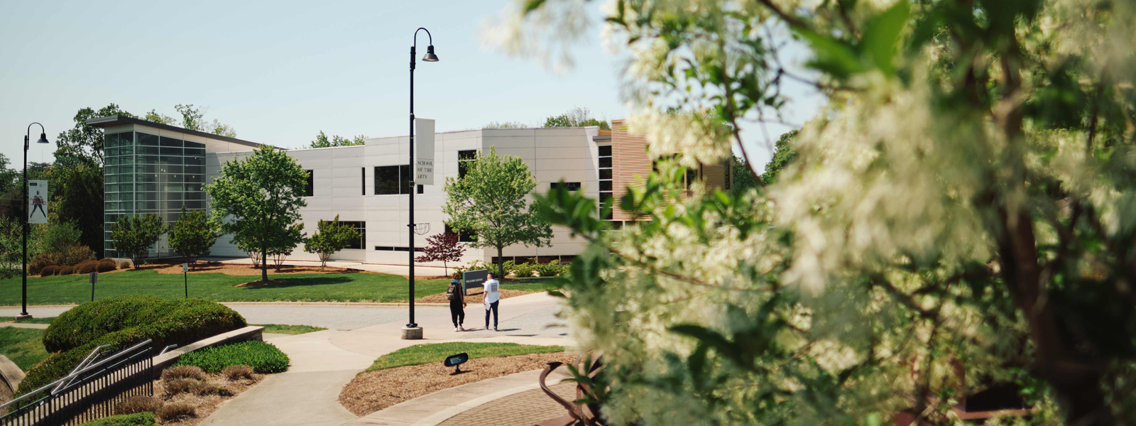A view of the campus from the sidewalk, showcasing buildings and greenery in the foreground.