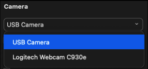 Select preferred video camera or webcam
